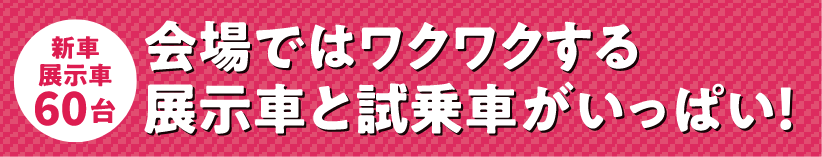 会場ではワクワクする展示車と試乗車がいっぱい